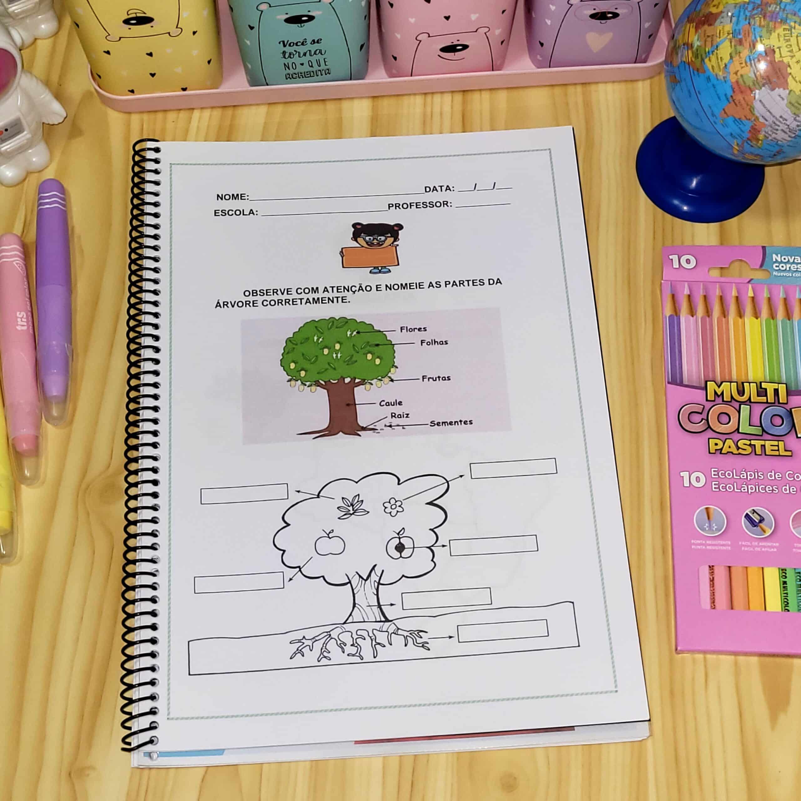 Atividades AEE 2° ANO - Imagem 5