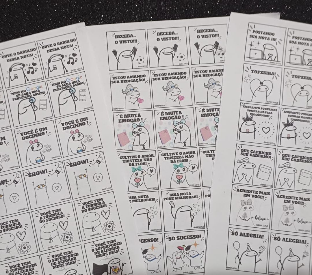 COMBO FIGURINHAS INCENTIVOS FLORKS 🤩📚