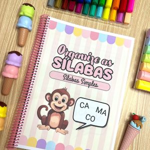 ORGANIZE SILABAS SIMPLES